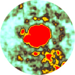 GPR-SLICE Software GPR-SLICE Software